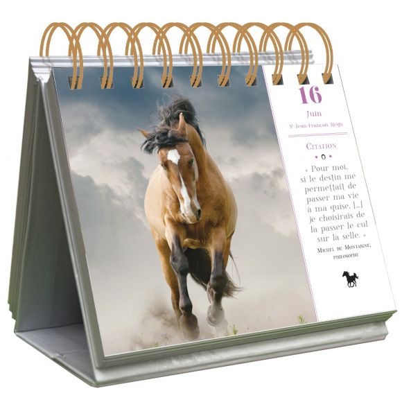 Le calendrier : Almaniak 365 pensées pour les amoureux des chevaux -  Éditions 365