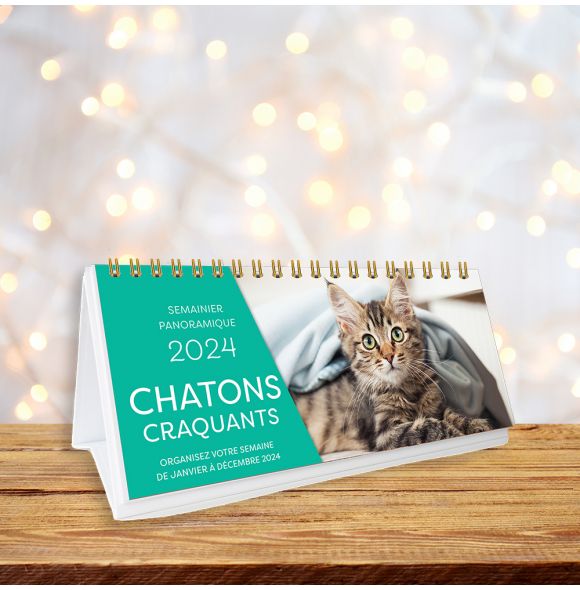 Agenda - Calendrier Chats et Chatons 2024