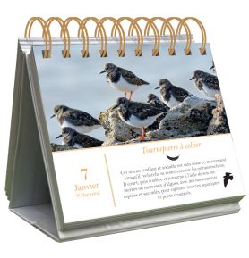 Almaniak Inspiration 365 jours pour les amoureux des oiseaux - nouvelle édition