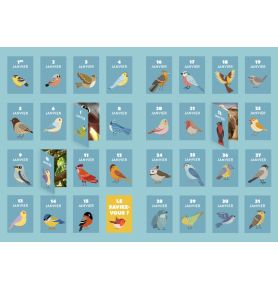 365 surprises - Une année avec les oiseaux