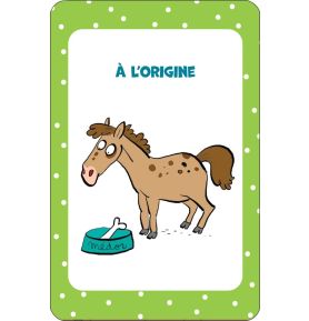 52 cartes pour tout savoir sur les chevaux