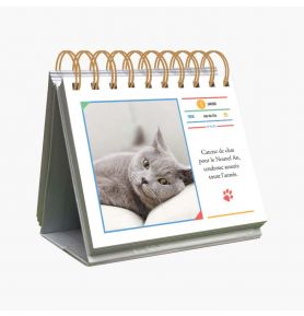 Almaniak Inspiration 365 pensées pour les amoureux des chats nouvelle édition