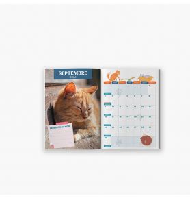 Agenda scolaire 2025-2026 Chats