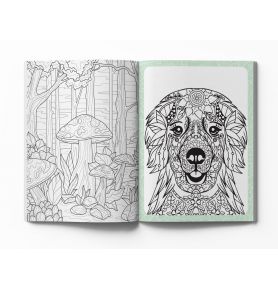 Mes coloriages zen - 300 dessins pour décompresser