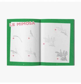 Tout dessiner en 10 minutes - Nature