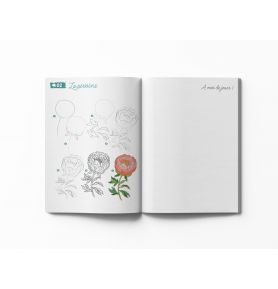 300 modèles en pas à pas pour tout dessiner