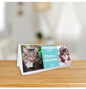 Semainier en trois volets 2025 Chats et chatons