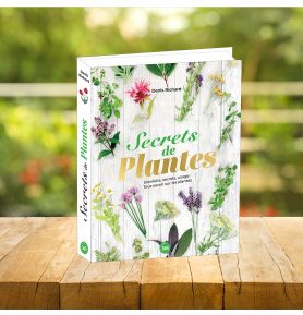 Secrets de plantes, bienfaits et usages