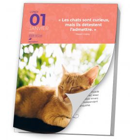 CALENDRIER LES CHATS 2024 GRAND FORMAT - REF 649.108 - Librairie