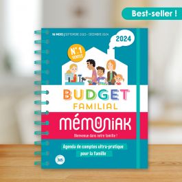 Livre : Budget familial 2025 : 16 mois, de septembre 2024 à